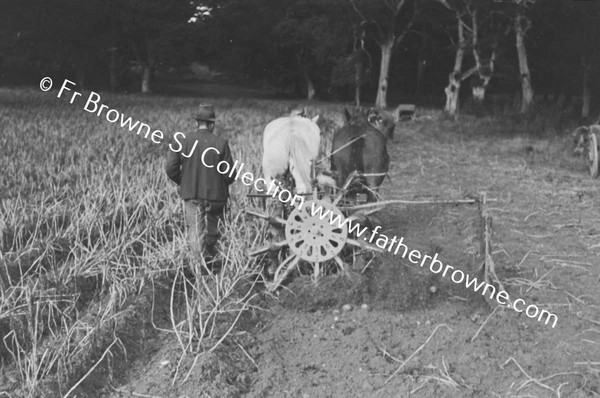 LIFTING POTATO CROP OAKWOOD TRAINGLE